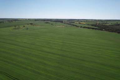 Farm For Sale - WA - Mumberkine - 6401 - For Sale: Lot 107 Tyndall Rd, Mumberkine – 106.71ha (263.57 acres)  (Image 2)