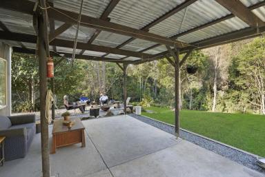 Farm For Sale - NSW - Belbora - 2422 - Escape to Tranquility: 101 Acres of Natural Beauty  (Image 2)