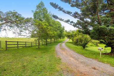 Farm For Sale - QLD - Palmwoods - 4555 - Lifestyle Horse-Friendly 4.3Ha: Dress Circle Acreage Belt  (Image 2)