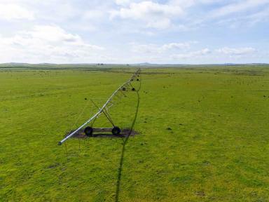 Farm For Sale - TAS - Rushy Lagoon - 7264 - Large scale dairy and livestock operation located in north-east Tasmania.  (Image 2)