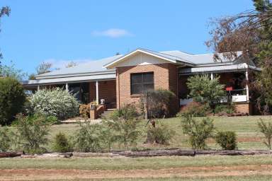 Farm For Sale - NSW - Inverell - 2360 - LIVE, LAUGH, LOVE at Triple L  (Image 2)