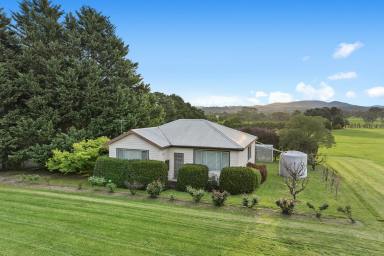 Farm For Sale - VIC - Labertouche - 3816 - The Perfect Setting  (Image 2)