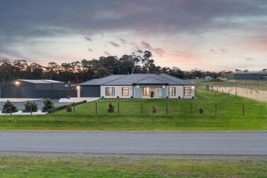 Farm For Sale - VIC - Junortoun - 3551 - Spacious Family Oasis on 1.03ha: Luxurious Living with Pool, Shed, and Space to Play  (Image 2)