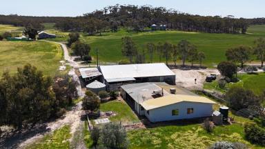 Farm For Sale - WA - Quairading - 6383 - Stunning Rural Retreat - 853 Hayes Rd, Dulbelling        14.27ha (35 acres)  (Image 2)