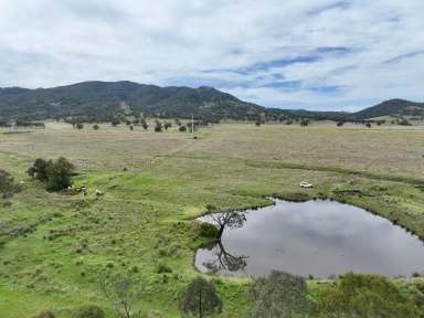 Farm Auction - NSW - Parkville - 2337 - Finalising The Estate - Auction 1st November  (Image 2)