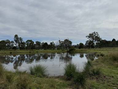 Farm Auction - NSW - Parkville - 2337 - Finalising The Estate - Auction 1st November  (Image 2)