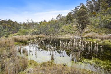 Farm For Sale - TAS - Colebrook - 7027 - Sheltered North Facing House Sites  (Image 2)