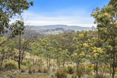 Farm For Sale - TAS - Colebrook - 7027 - Sheltered North Facing House Sites  (Image 2)