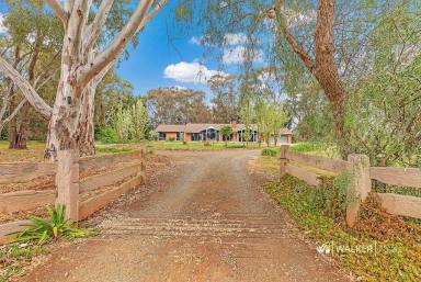 Farm For Sale - VIC - Stanhope - 3623 - Deer Me… What A Property!  (Image 2)