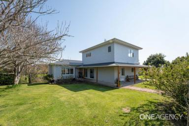 Farm For Sale - TAS - Wynyard - 7325 - Country Living Has It ALL!!  (Image 2)