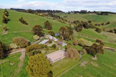 Farm For Sale - VIC - Strzelecki - 3950 - Charming Beef Cattle Farm on 137 Acres in Strzelecki  (Image 2)