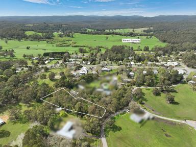 Farm For Sale - VIC - Forrest - 3236 - TREE CHANGE READY  (Image 2)