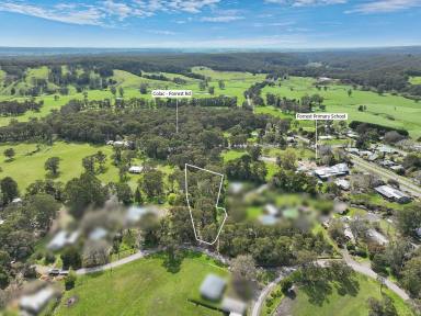 Farm For Sale - VIC - Forrest - 3236 - TREE CHANGE READY  (Image 2)