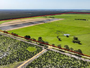 Farm For Sale - VIC - Mumbannar - 3304 - Strong, Productive, Mixed Mumbannar Country  (Image 2)