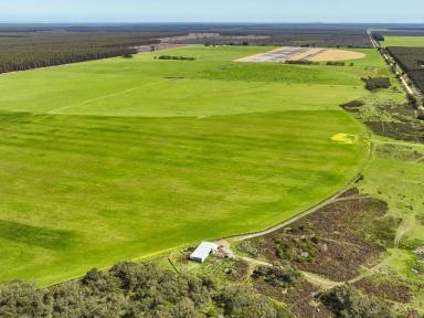 Farm For Sale - VIC - Mumbannar - 3304 - Strong, Productive, Mixed Mumbannar Country  (Image 2)