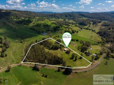 Farm For Sale - NSW - Koonorigan - 2480 - Picture Perfect Farmlet  (Image 2)