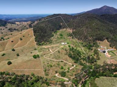 Farm For Sale - QLD - Laceys Creek - 4521 - Country escape with homestead on 73 Acres (29.61 ha)  (Image 2)