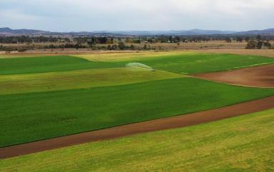 Farm For Sale - QLD - Scrub Creek - 4313 - 38.35ha Lucerne Farm  (Image 2)