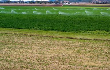 Farm For Sale - QLD - Scrub Creek - 4313 - 38.35ha Lucerne Farm  (Image 2)