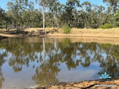 Farm For Sale - QLD - CHARTERS TOWERS - 4820 - “Hopewell Station” Quality breeding enterprise, North of Charters Towers  (Image 2)