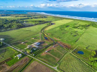 Farm For Sale - NSW - Keith Hall - 2478 - Absolute Exclusive Beachfront Lifestyle Property  (Image 2)