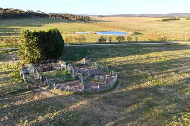 Farm For Sale - NSW - Goulburn - 2580 - Quialigo Park  (Image 2)