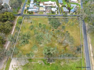 Farm For Sale - VIC - Alexandra - 3714 - Property Guru's take Note!  (Image 2)