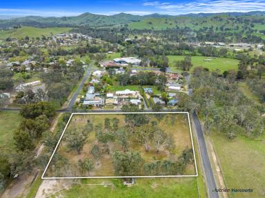 Farm For Sale - VIC - Alexandra - 3714 - Property Guru's take Note!  (Image 2)