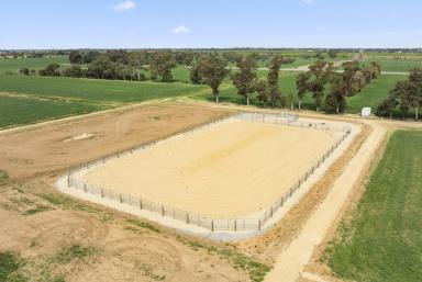 Farm For Sale - VIC - Yarroweyah - 3644 - 85 Acres of Premier Equine Excellence – A Rare Opportunity  (Image 2)