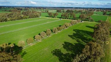 Farm For Sale - VIC - Yarroweyah - 3644 - 85 Acres of Premier Equine Excellence – A Rare Opportunity  (Image 2)