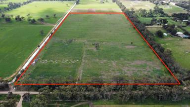 Farm For Sale - VIC - Koonoomoo - 3644 - Koonoomoo - Choice Land 67 Acres  (Image 2)