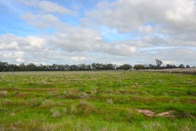 Farm For Sale - VIC - Koonoomoo - 3644 - Koonoomoo - Choice Land 67 Acres  (Image 2)