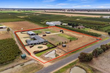 Farm For Sale - VIC - Cobram - 3644 - Pure Perfection – High End Rural Estate  (Image 2)