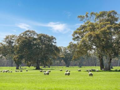 Farm For Sale - VIC - Rocklands - 3401 - “The 1200”– Well balanced, high rainfall versatile country  (Image 2)