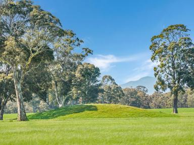 Farm For Sale - VIC - Rocklands - 3401 - “The 1200”– Well balanced, high rainfall versatile country  (Image 2)