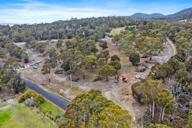 Farm For Sale - TAS - Orford - 7190 - Large coastal retreat lifestyle land  (Image 2)