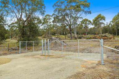 Farm For Sale - TAS - Orford - 7190 - Large coastal retreat lifestyle land  (Image 2)