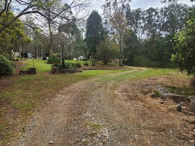 Farm For Sale - QLD - Blackbutt - 4314 - Escape to your very own nature retreat with over 10 acres in this beautiful newly renovated home in Blackbutt  (Image 2)