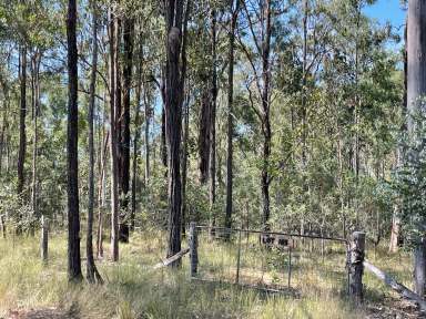 Farm For Sale - Qld - Glenwood - 4570 - The Great Australian Dream is still Affordable!  (Image 2)