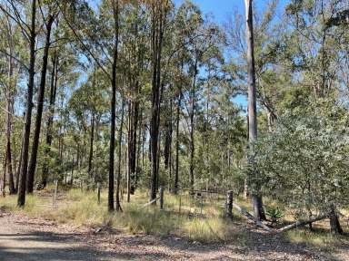 Farm For Sale - Qld - Glenwood - 4570 - Build your Dream Home or Holiday Retreat on 6,936m2  (Image 2)