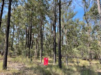 Farm For Sale - Qld - Glenwood - 4570 - The Great Australian Dream is still Affordable!  (Image 2)