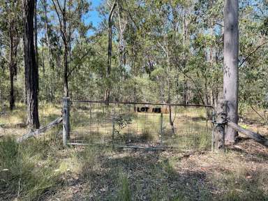 Farm For Sale - Qld - Glenwood - 4570 - Build your Dream Home or Holiday Retreat on 6,936m2  (Image 2)