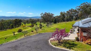 Farm For Sale - NSW - Quirindi - 2343 - EXCEPTIONAL LIFESTYLE PROPERTY IN IDEAL LOCATION  (Image 2)