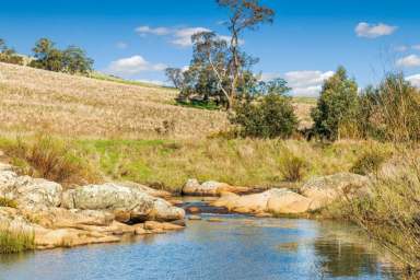 Farm Sold - VIC - Langley - 3444 - Currawinya – An Idyllic Haven in Victoria's Macedon Ranges  (Image 2)