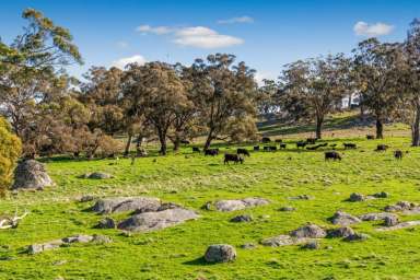 Farm Sold - VIC - Langley - 3444 - Currawinya – An Idyllic Haven in Victoria's Macedon Ranges  (Image 2)