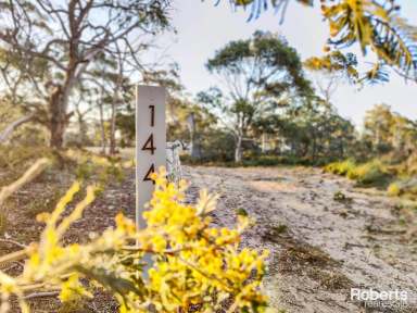 Farm Sold - TAS - Dolphin Sands - 7190 - Coastal acreage & weekender, just steps to Nine Mile Beach!  (Image 2)