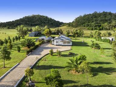 Farm For Sale - QLD - Hirstglen - 4359 - Lifestyle, Retirement or Business Venture  (Image 2)