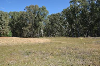 Farm For Sale - NSW - Tocumwal - 2714 - Picturesque Bushland Homesite – Close to Town  (Image 2)