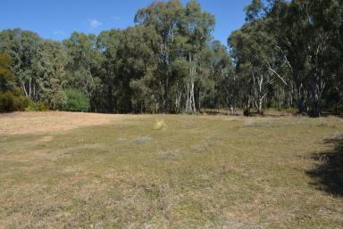 Farm For Sale - NSW - Tocumwal - 2714 - Picturesque Bushland Homesite – Close to Town  (Image 2)