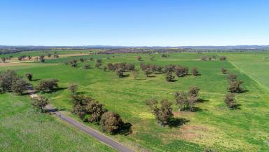 Farm Auction - NSW - Geurie - 2818 - Quality Country Being Offered For The First Time in 147 Years  (Image 2)